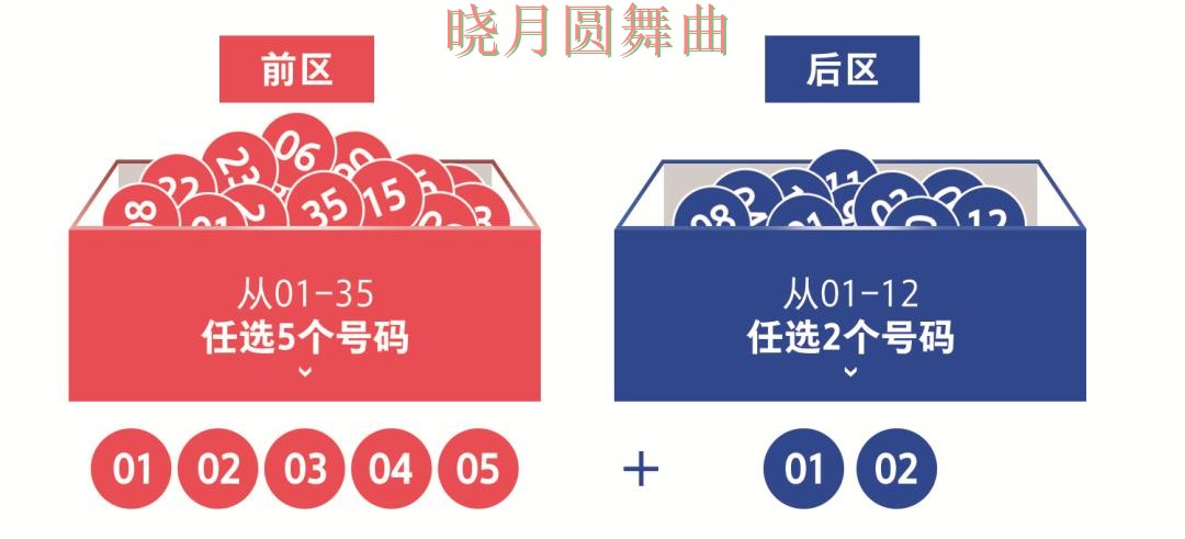 世界杯投注平台合集全面分析合集：覆盖平台排行+直播与入口方式 - 世界杯官方信息